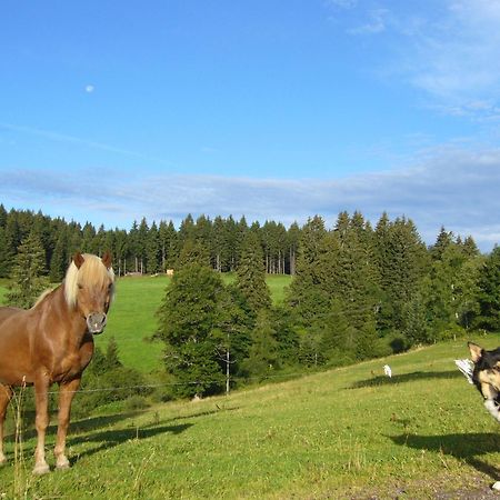 Hoehengasthaus Kolmenhof An Der Donauquelle Furtwangen Exteriér fotografie