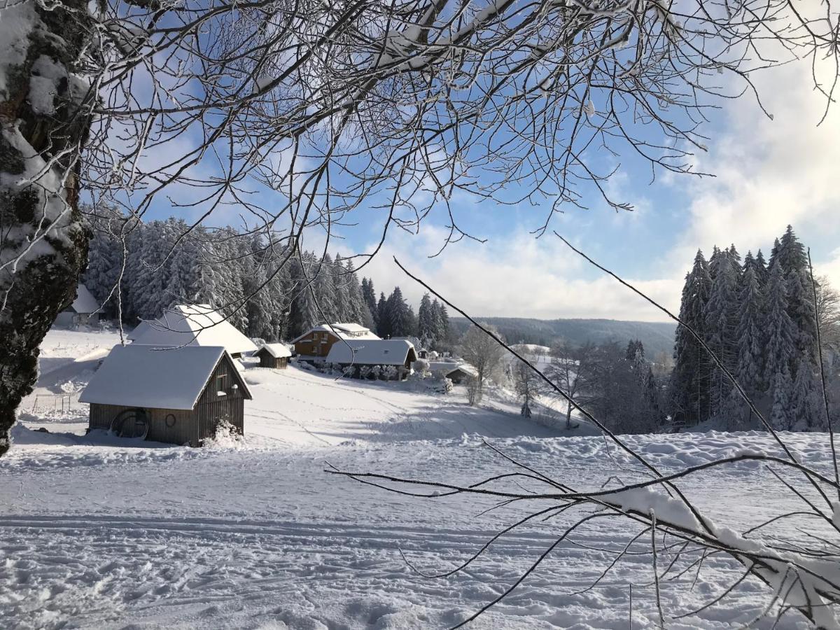 Hoehengasthaus Kolmenhof An Der Donauquelle Furtwangen Exteriér fotografie