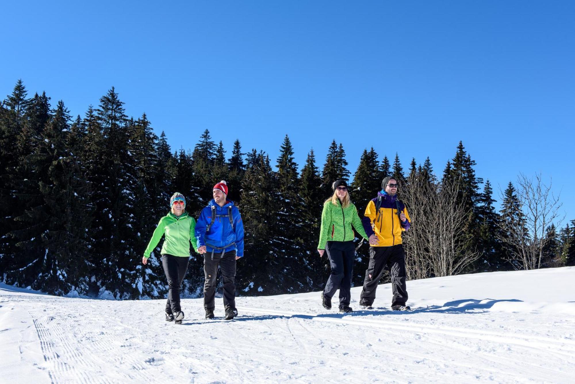 Hoehengasthaus Kolmenhof An Der Donauquelle Furtwangen Exteriér fotografie