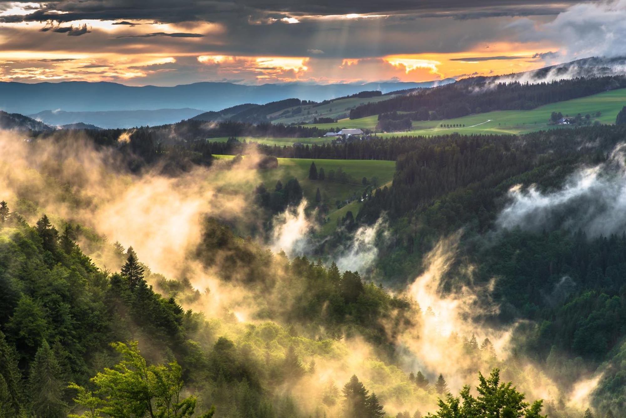 Hoehengasthaus Kolmenhof An Der Donauquelle Furtwangen Exteriér fotografie