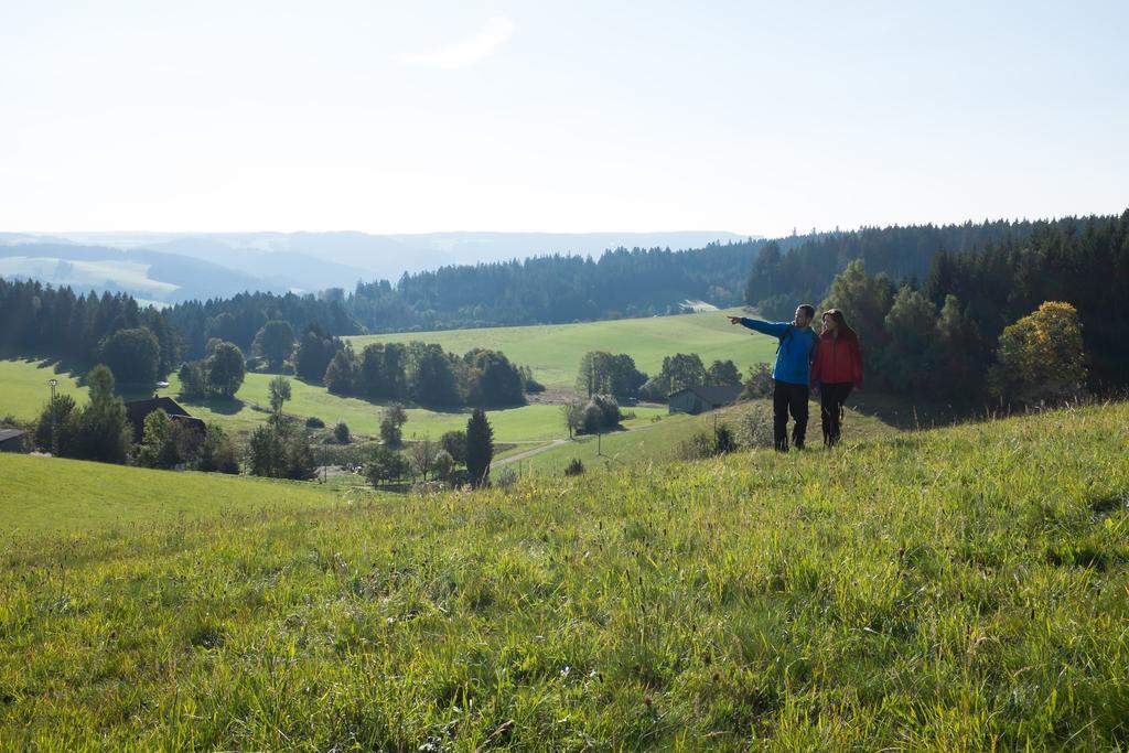 Hoehengasthaus Kolmenhof An Der Donauquelle Furtwangen Exteriér fotografie