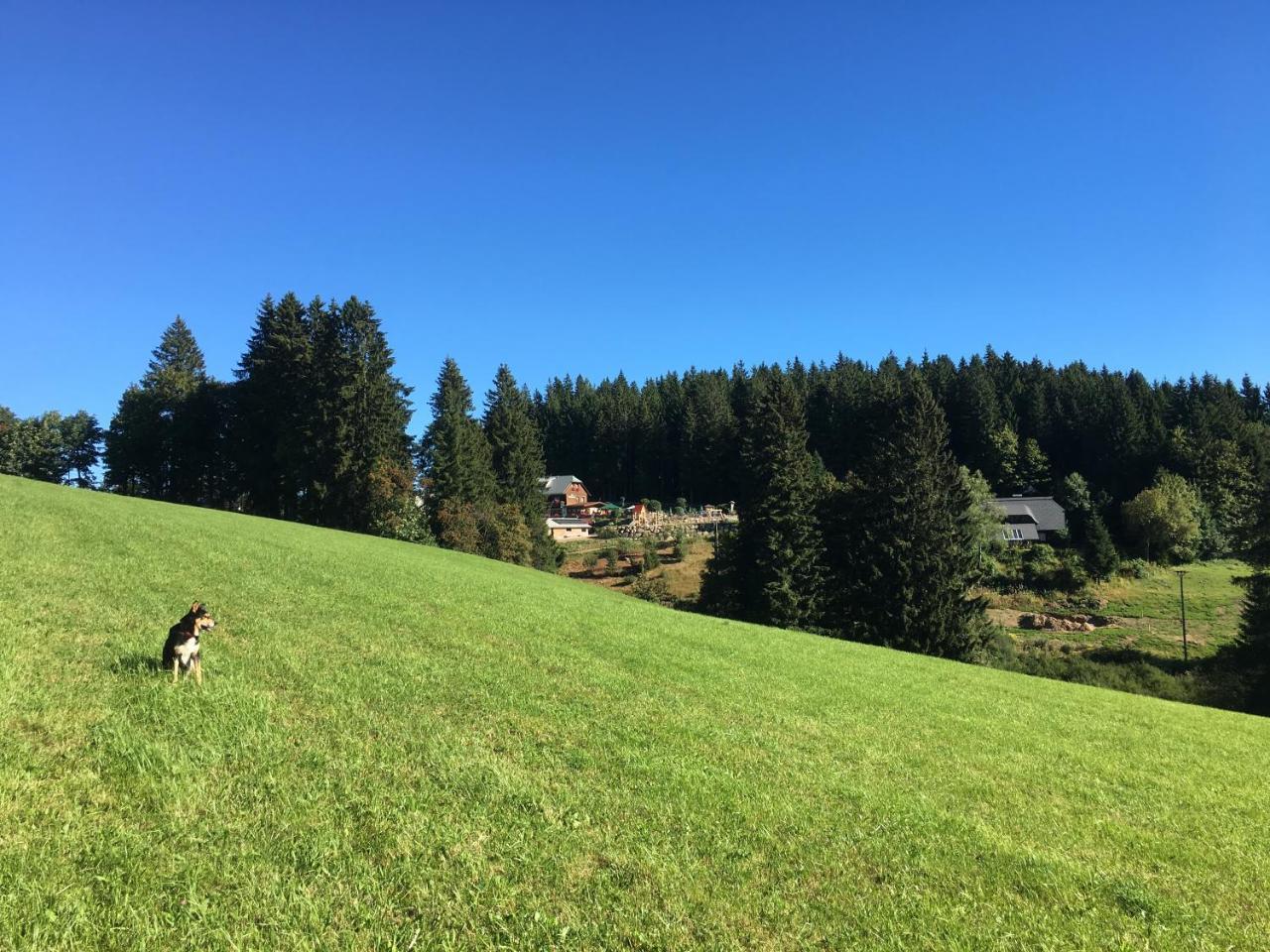 Hoehengasthaus Kolmenhof An Der Donauquelle Furtwangen Exteriér fotografie